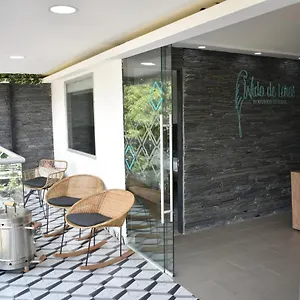 Guest house Boutique Nido De Loros
